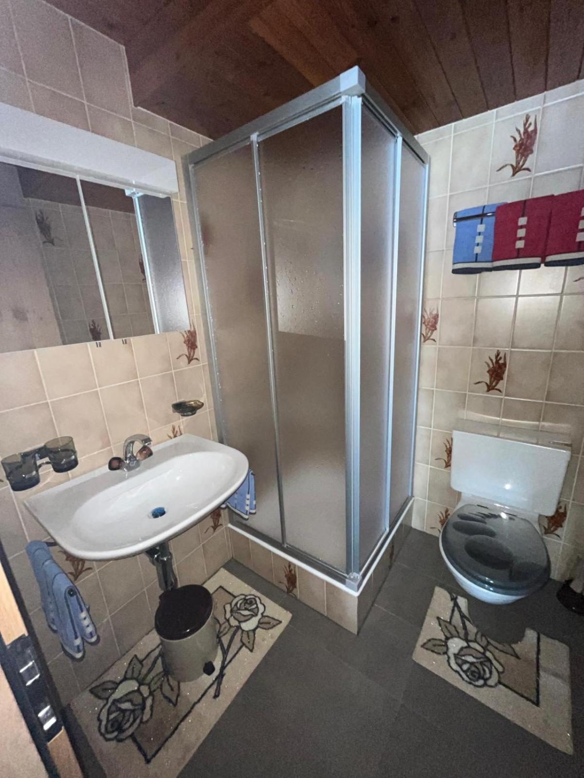 Haus Erle Apartment Saas-Grund Ngoại thất bức ảnh